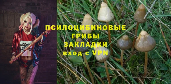 прущие крисы Новокубанск