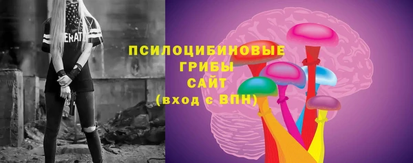 ПСИЛОЦИБИНОВЫЕ ГРИБЫ Новозыбков