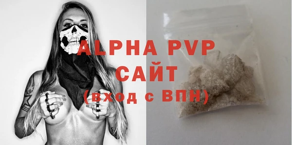 ПСИЛОЦИБИНОВЫЕ ГРИБЫ Новозыбков