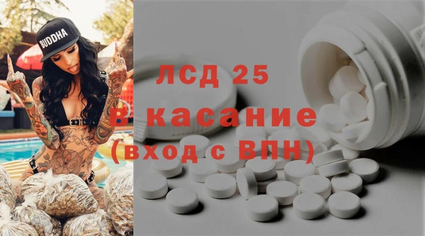 ПСИЛОЦИБИНОВЫЕ ГРИБЫ Новозыбков