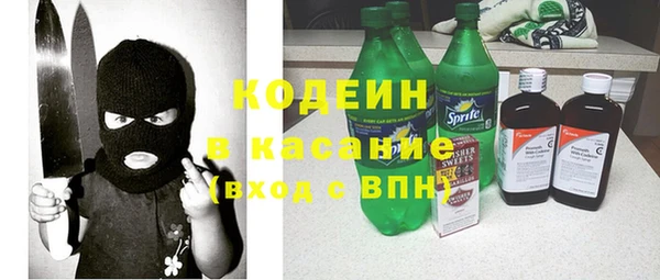 ПСИЛОЦИБИНОВЫЕ ГРИБЫ Новозыбков